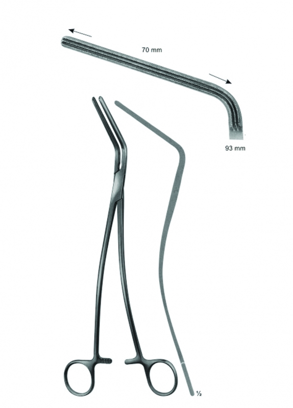 Atraumata Anastomosis And Ascending Aotra Cross, Bronchus Clamps